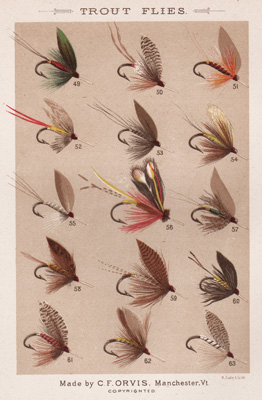 ANTIQUE PRINT OF FISHING FLIES FROM 1885